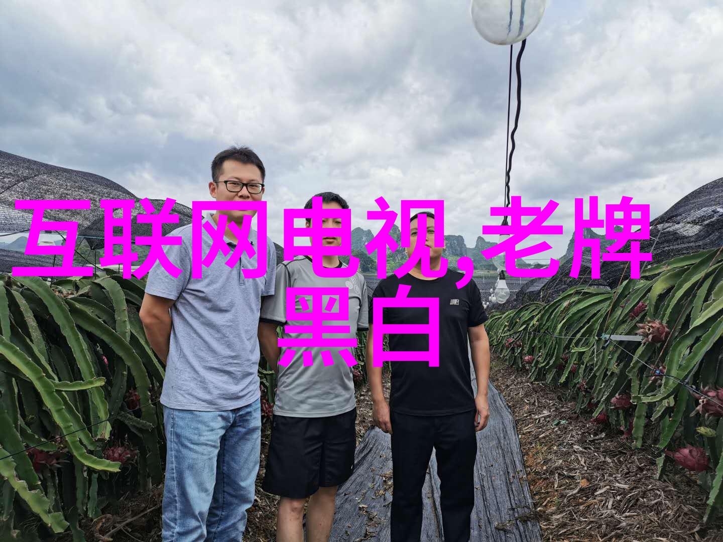 闺蜜间的疯狂互换春雨医生五位好友的秘密换脸冒险