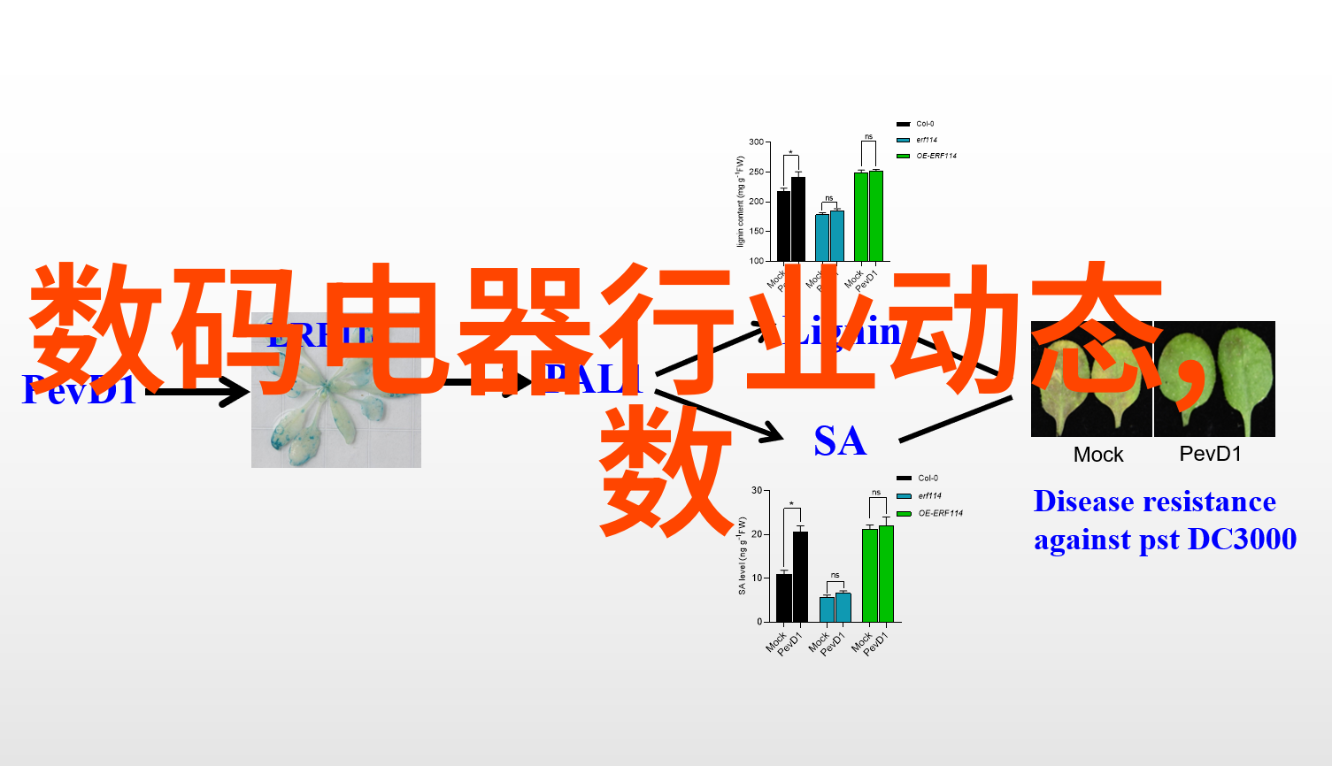 精馏设备在食品工业中的应用有哪些