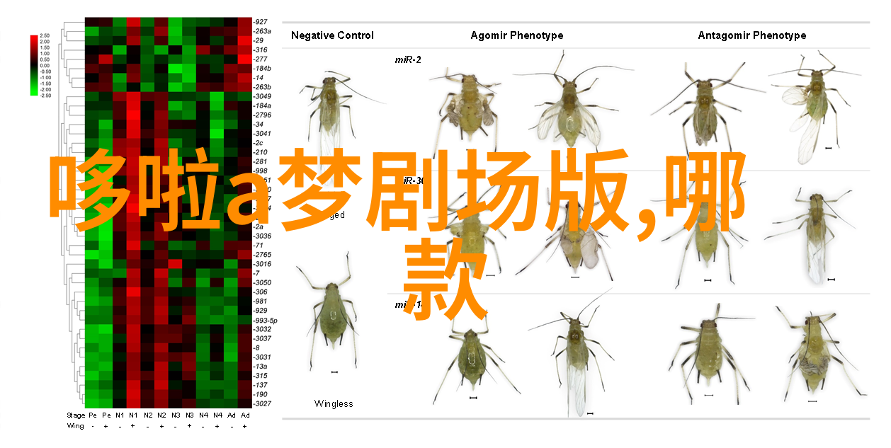 苹果发布会2023新品 - 革新未来的智慧苹果最新一代智能设备的盛宴