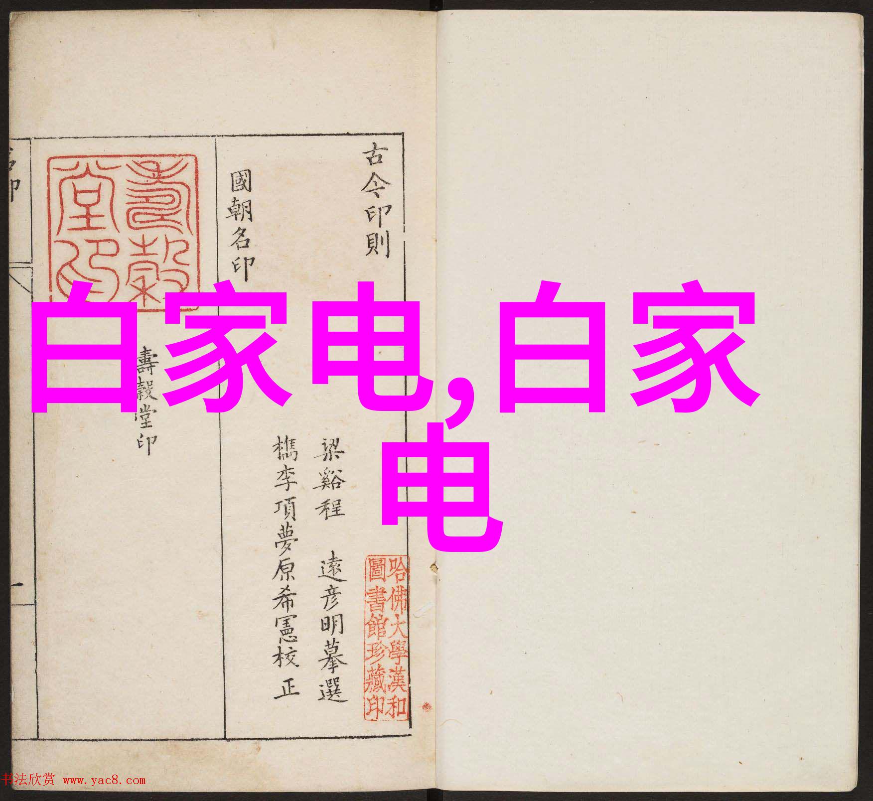 在托利多的阴影之下PBA220电子台秤静静地等待着它的故事被揭开它是一名化工测量计量仪器专注于精确无