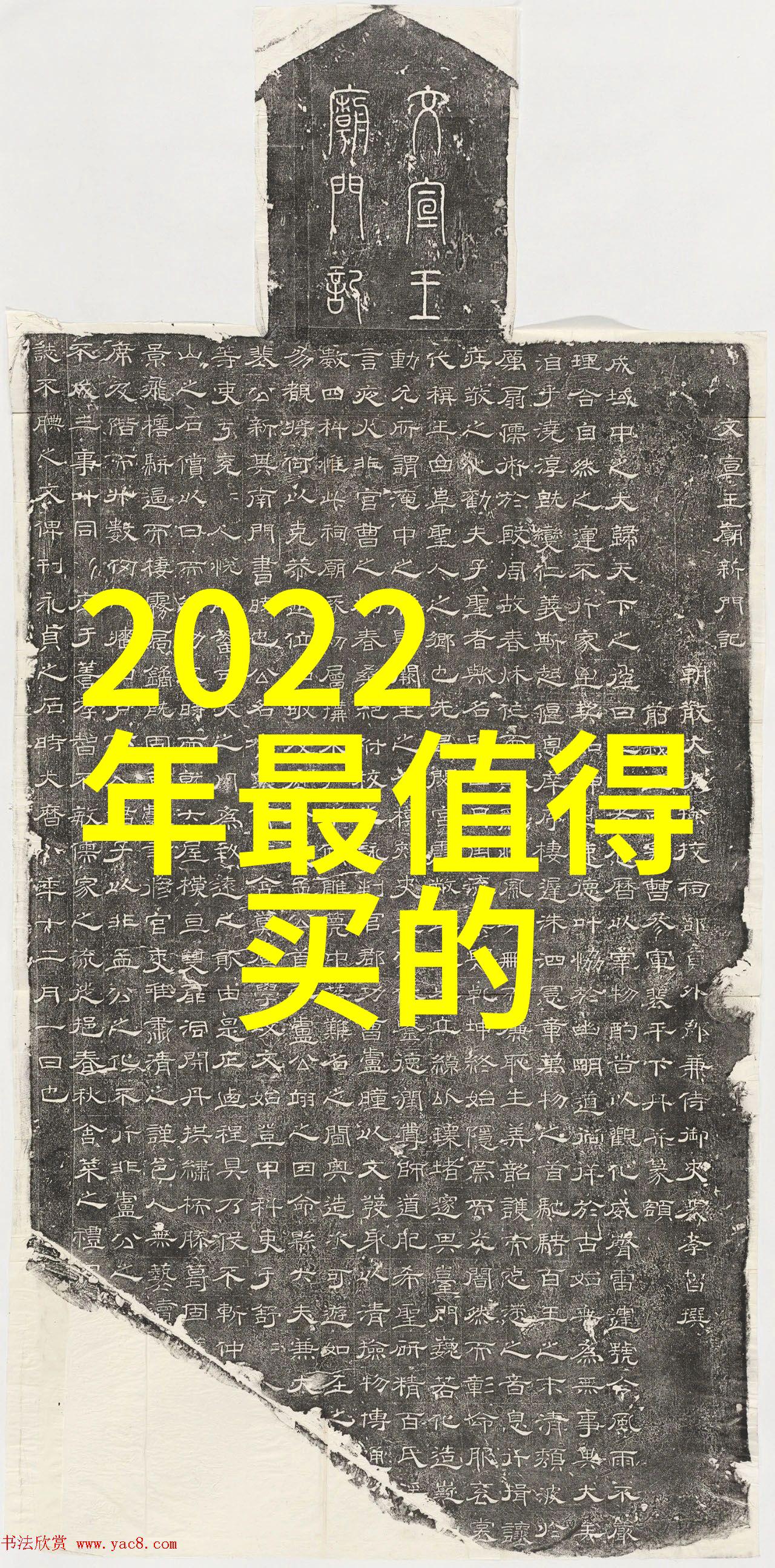 专业拍照设备-掌握每一帧全面解析专业拍照设备的精髓