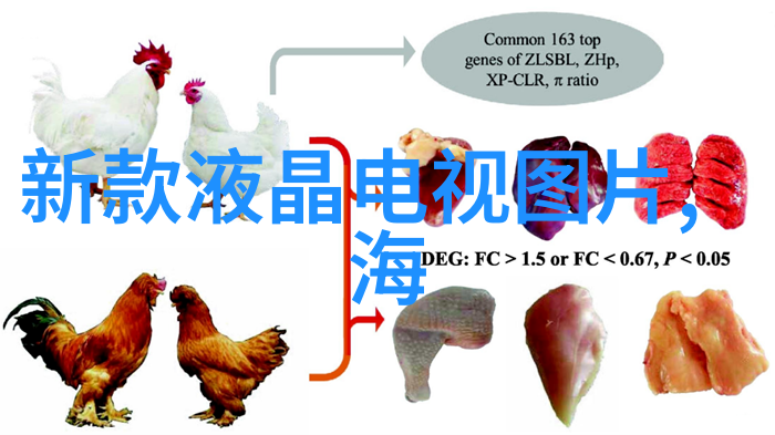 成品灭菌技术的发展与应用概述