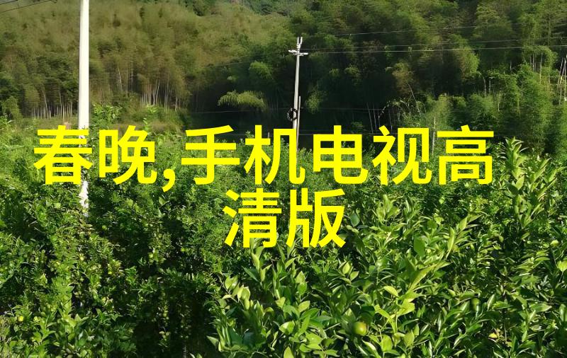 小型黄酒杀菌设备-微波杀菌技术革新保护传统美味的现代方式