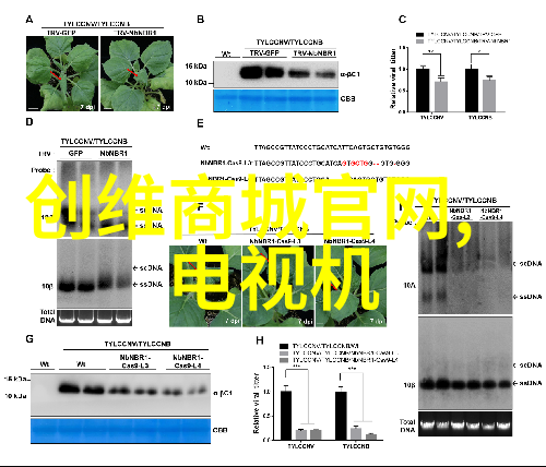 工业自动化的精髓皮带输送机的应用与优势