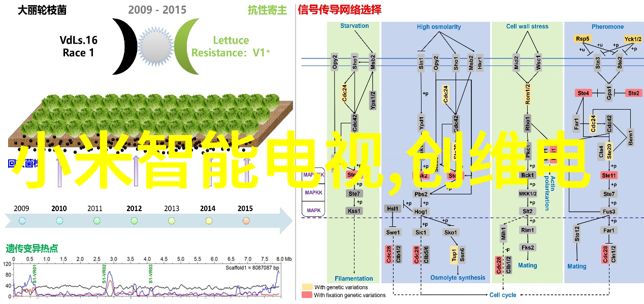 厨房橱柜装修精致空间的艺术语境