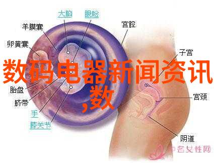 项目可行性报告编制与分析确保投资决策的科学依据