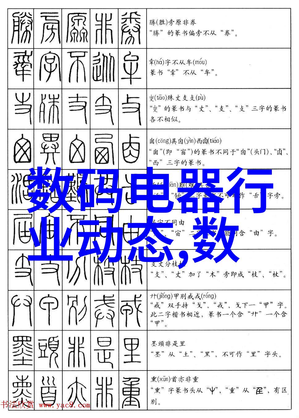 数字巨像数字技术在1x摄影作品中的应用与影响