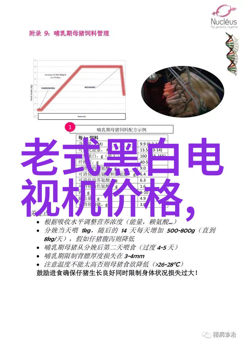 公孙离欢迎会我要和公孙离甜甜地聊天的聚会