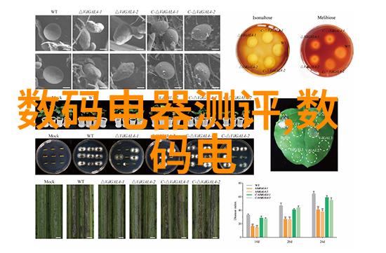 75平米温馨雅致的二室一厅装修效果图展示